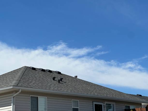Best Gutter Installation and Repair  in Granite Shoals, TX